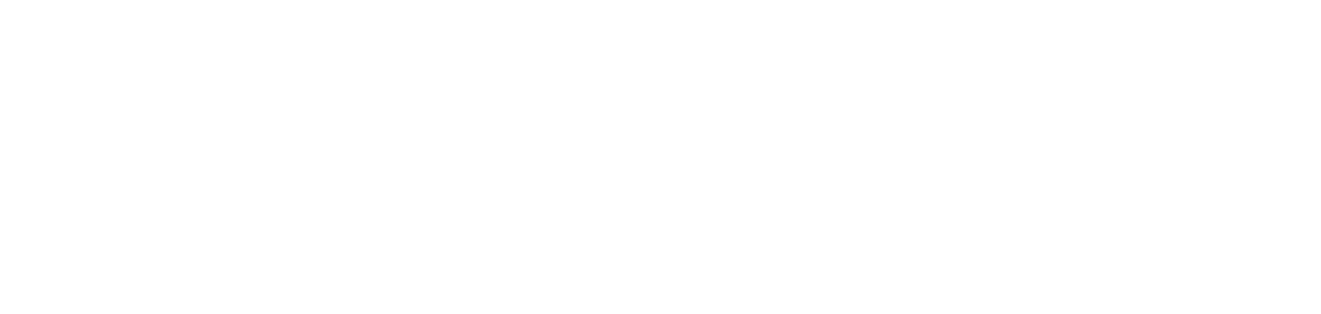 logo-seidor